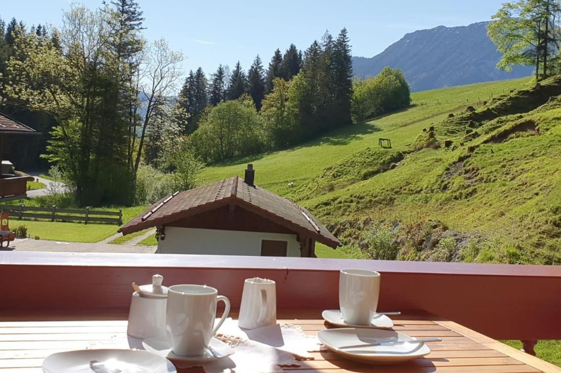 Ferienwohnung Grabenhaeusl Inkl. Chiemgaukarte Ruhpolding Kültér fotó